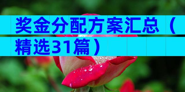 奖金分配方案汇总（精选31篇）
