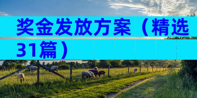 奖金发放方案（精选31篇）