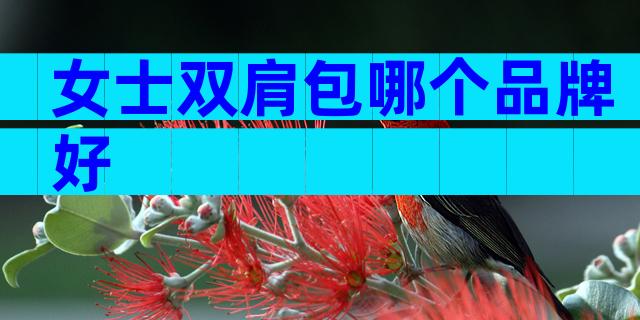女士双肩包哪个品牌好