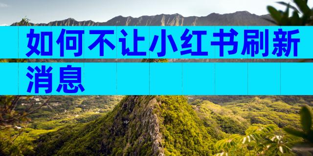 如何不让小红书刷新消息