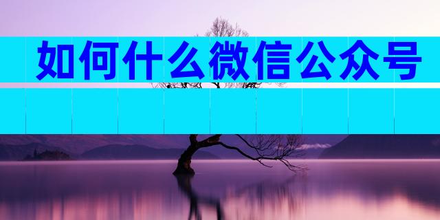 如何什么微信公众号