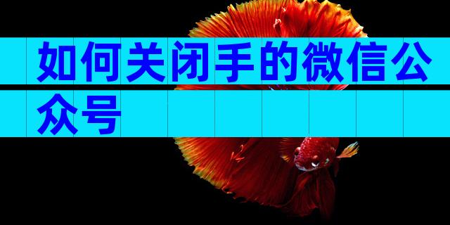 如何关闭手的微信公众号
