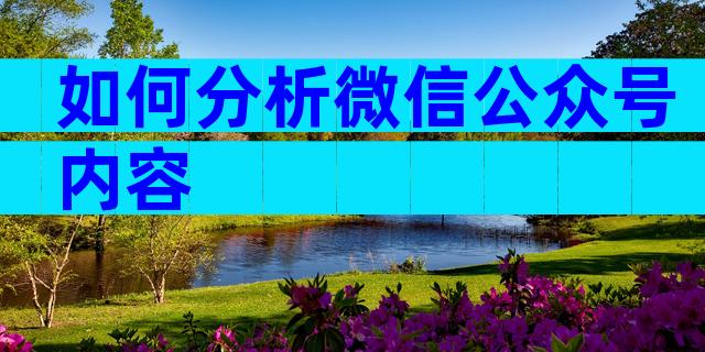 如何分析微信公众号内容