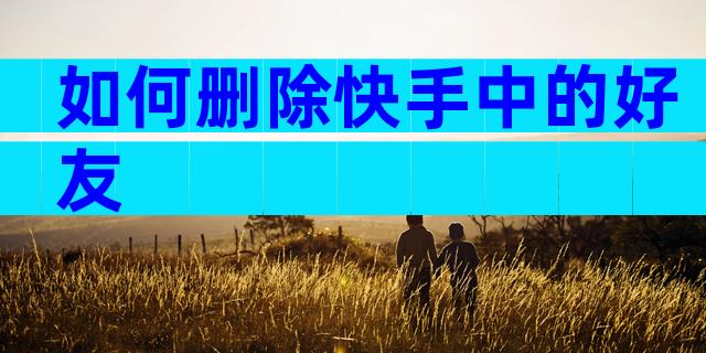 如何删除快手中的好友