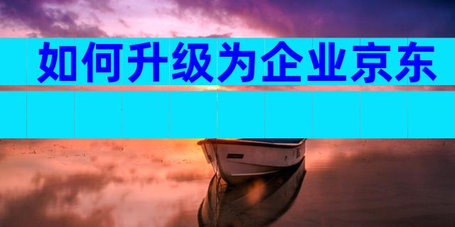如何升级为企业京东