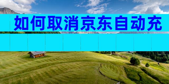如何取消京东自动充