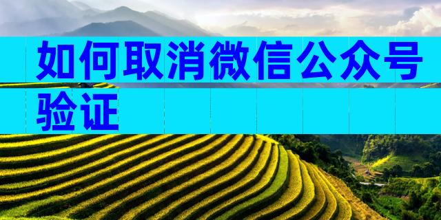 如何取消微信公众号验证