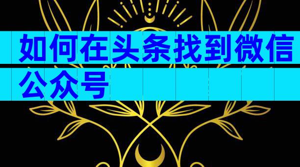 如何在头条找到微信公众号