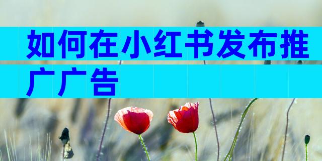 如何在小红书发布推广广告