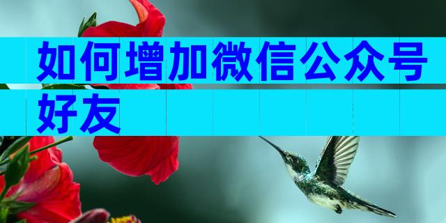 如何增加微信公众号好友