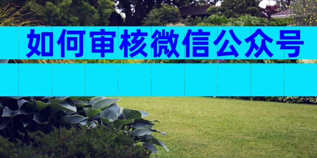 如何审核微信公众号