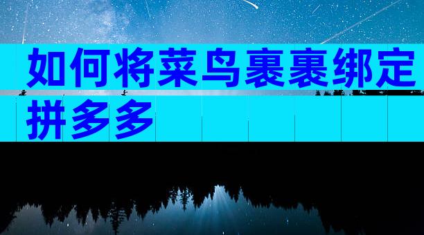 如何将菜鸟裹裹绑定拼多多