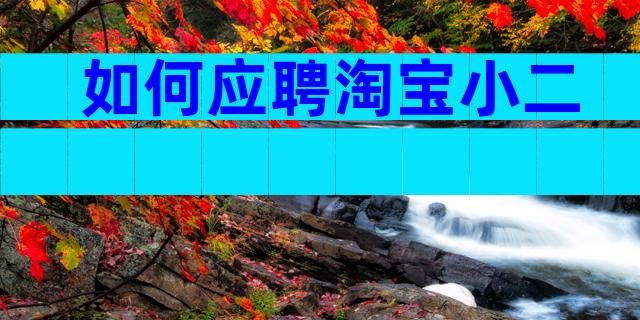 如何应聘淘宝小二