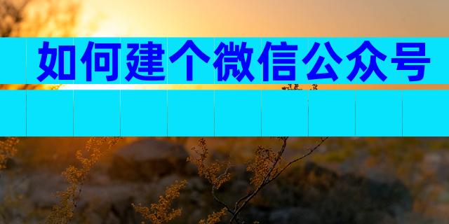如何建个微信公众号