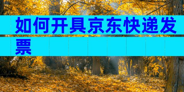 如何开具京东快递发票