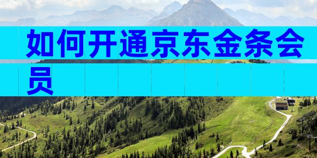 如何开通京东金条会员