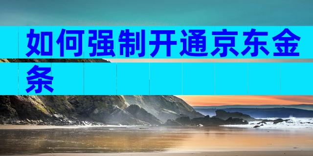 如何强制开通京东金条