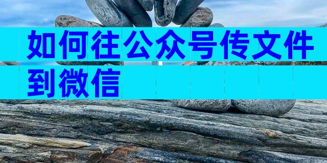 如何往公众号传文件到微信