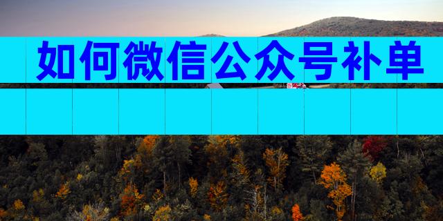 如何微信公众号补单