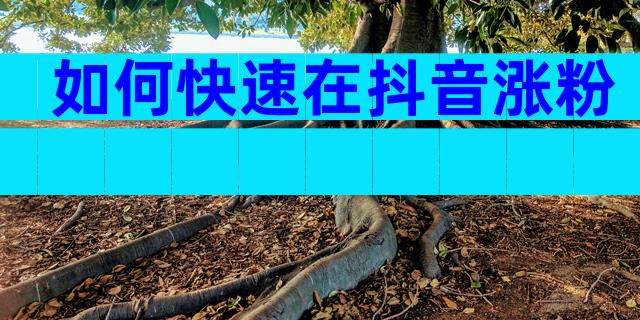 如何快速在抖音涨粉