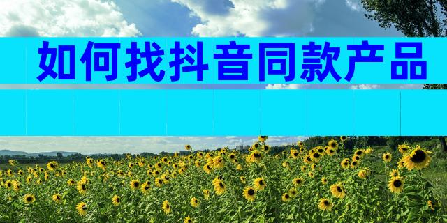 如何找抖音同款产品