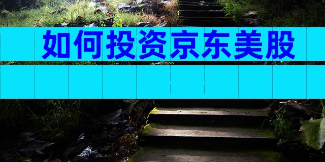 如何投资京东美股
