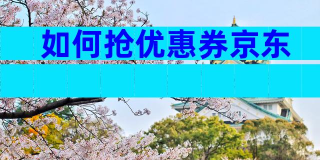 如何抢优惠券京东