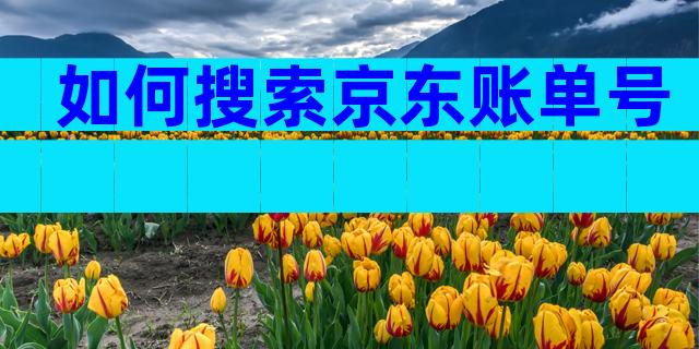 如何搜索京东账单号