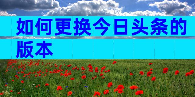 如何更换今日头条的版本