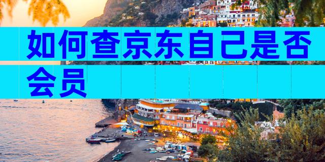 如何查京东自己是否会员