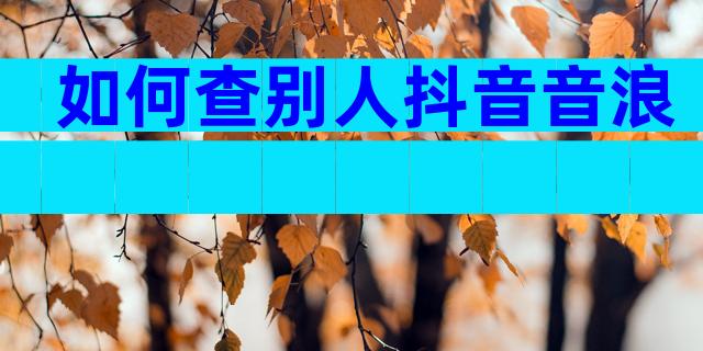 如何查别人抖音音浪