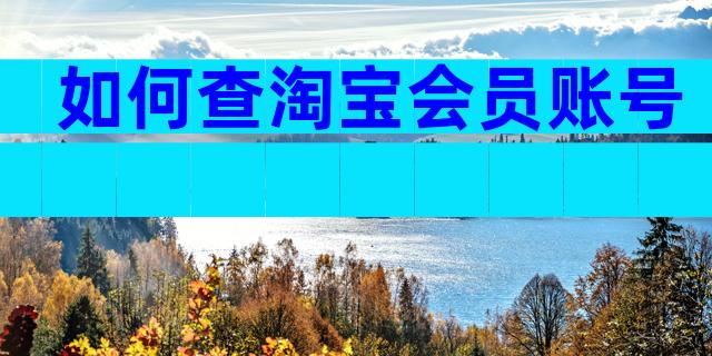 如何查淘宝会员账号