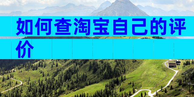 如何查淘宝自己的评价