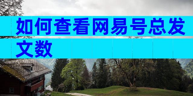 如何查看网易号总发文数