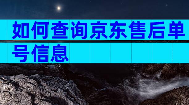 如何查询京东售后单号信息