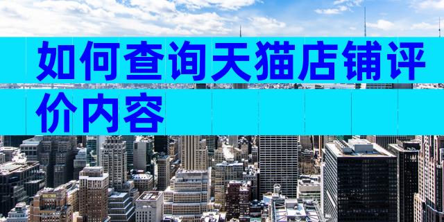 如何查询天猫店铺评价内容