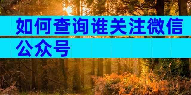 如何查询谁关注微信公众号
