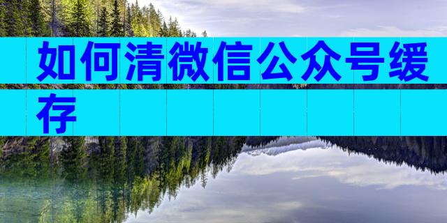 如何清微信公众号缓存