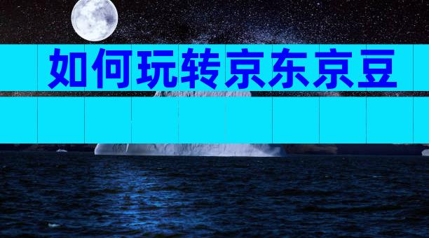 如何玩转京东京豆