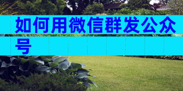 如何用微信群发公众号