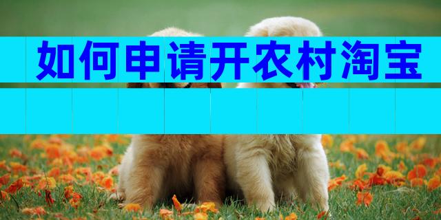 如何申请开农村淘宝