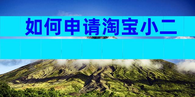 如何申请淘宝小二