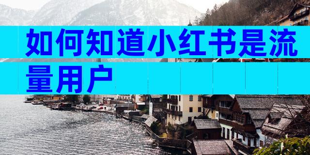 如何知道小红书是流量用户