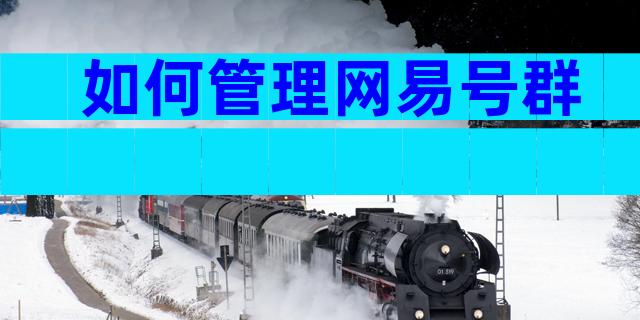 如何管理网易号群