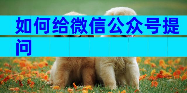 如何给微信公众号提问