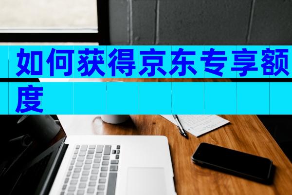 如何获得京东专享额度