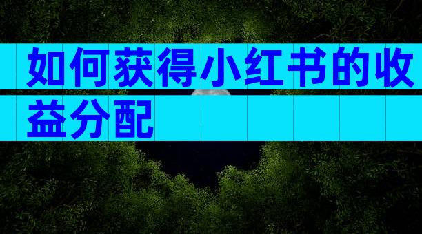 如何获得小红书的收益分配