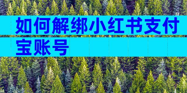 如何解绑小红书支付宝账号