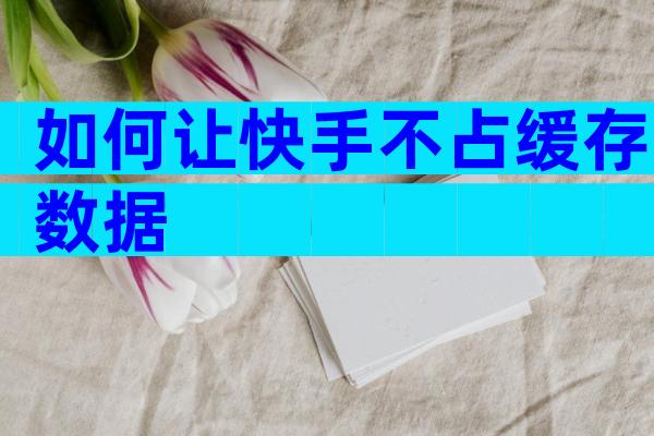 如何让快手不占缓存数据