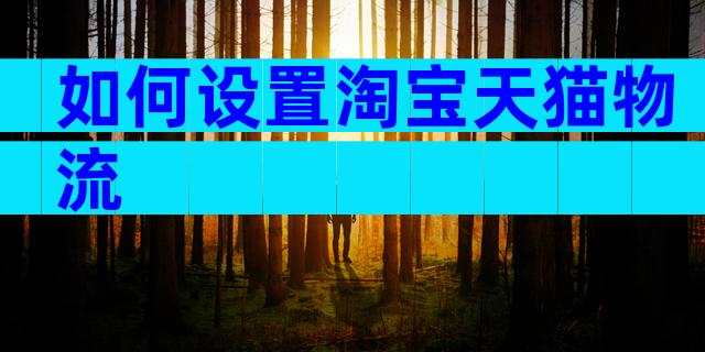 如何设置淘宝天猫物流